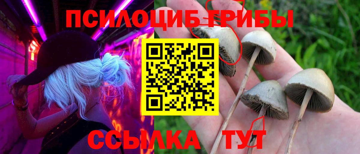 Кострома  Псилоцибиновые грибы мицелий  Вход с VPN 