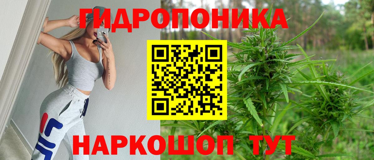МАРИХУАНА марихуана  Бошки Шишки план  Кострома  Шишки марихуана Amnesia  Вход с VPN 