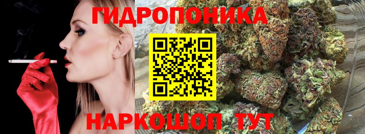 Каннабис Amnesia Кострома
